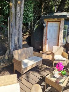 Domo Temuco con vista a la ciudad