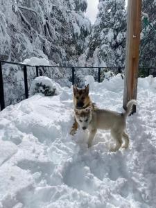 Refugio el ermitaño
