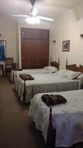 Hotel Holimasú