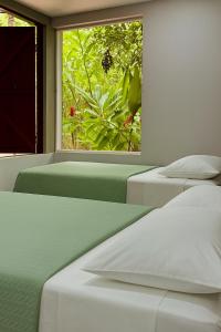 Hotel Boutique The Green Jungle House