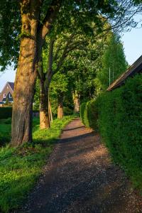 Luxury 2-Bedroom Beachfront Apartment - Altara Suites