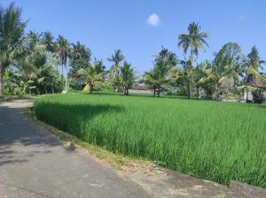 Hitangkara Villa Ubud