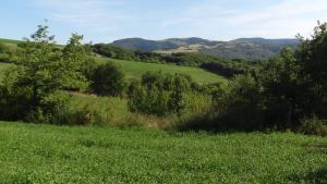 Maisons de vacances Les Hauts de Camares : photos des chambres