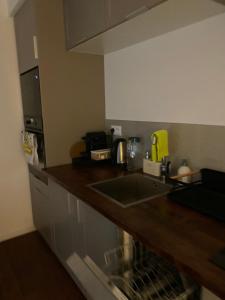 Saint Raphael appartement 4 étoiles neuf en rez de jardin privatif