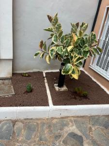 Arcoiris Paradise A 300 metros de la playa ,piscina y parque infantil