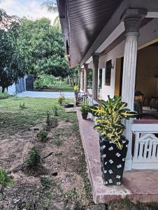 Villa village resort