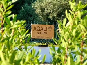 Agali Studios 1