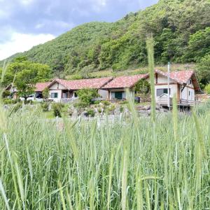 정선 mindfulstay 호텔 이미지