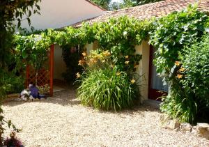 Maisons de vacances A Bois Mort : photos des chambres