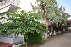 Galanis Studios and Apartments Olympos Greece