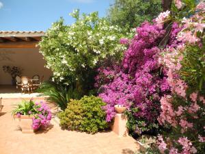 Hotel San Pantaleo img4