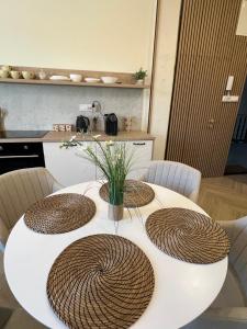 Apartament Frombork Łempicka