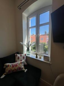 Apartament Frombork Łempicka