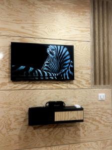 Appartements Eden Studio : photos des chambres