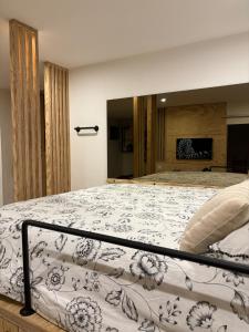 Appartements Eden Studio : photos des chambres