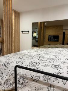 Appartements Eden Studio : photos des chambres