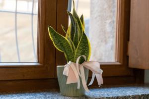 Dimora del Chiostro img17