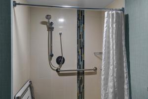 King Room with Sofa Bed and Roll-In Shower - Disability Access room in Hyatt Place Charlotte Airport Tyvola Road