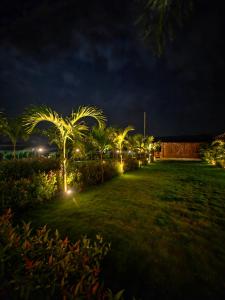 The Clouds Resort Arambol, Goa