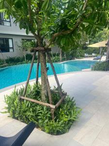 Luxury cosy condo in Kathu centre