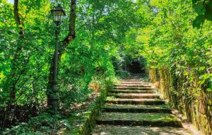 Stunning Apartment In Fiumalbo With Wifi