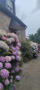 Maisons de vacances La Rose des Vents-Maison de charme-Tout a pied : photos des chambres