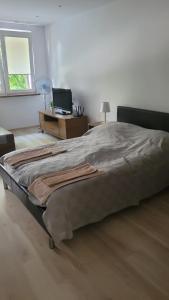 Mieszkanie Tarnów - 3hvězdičkové hotely ve městě Tarnów