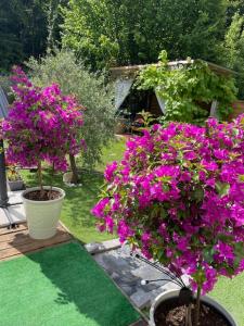 B&B / Chambres d'hotes Choisy le Jacuzzi : photos des chambres