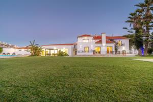 Silver Seahorse Garden Retreat