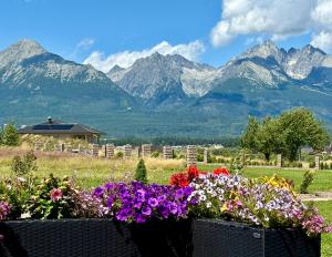 Vysoké Tary apartman house D for 2 - 4 people