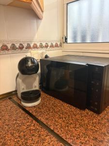 nice apartment near the park