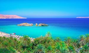 Comfort House Mimosa 1