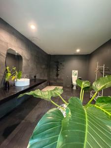 Cozy Romantic in Wildwood Cabin