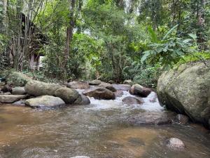 Cozy Romantic in Wildwood Cabin