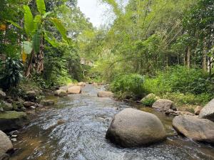 Cozy Romantic in Wildwood Cabin