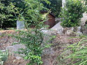 Maisons d'hotes Sensivilla Guest House - Grasse - Costa Azzurra : photos des chambres