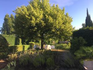 B&B / Chambres d'hotes B&B Petite Maison Le Jardin : photos des chambres