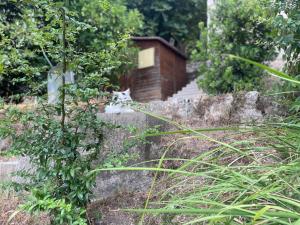 Maisons d'hotes Sensivilla Guest House - Grasse - Costa Azzurra : photos des chambres