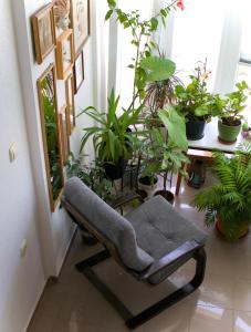 Apartments Grabovica