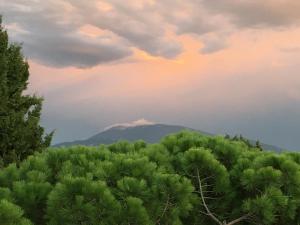 B&B / Chambres d'hotes B&B Petite Maison Le Jardin : photos des chambres