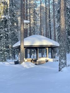 Villa Arctic Stillness