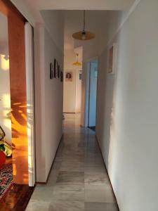 Mediterranean Penthouse in the center of Athens