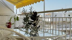 Mediterranean Penthouse in the center of Athens