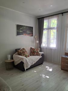 Pärnu Pikk 24 apartment - Pärnu kesklinn - City center