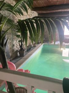 B&B / Chambres d'hotes O banc de la vigne : photos des chambres