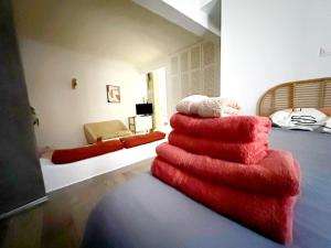 Appartements Bastia F1 type loft plein centre, calme, clim, refait a neuf et a 200m du port : Appartement 1 Chambre