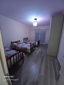 داون تاون العالمين الجديده