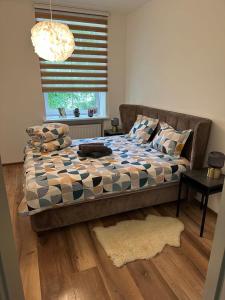 Luxury Downtown Apartment