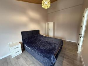 Bakuriani Green Valley Apartment B 47