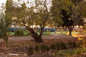 Appartamento in masseria a Porto Cesareo